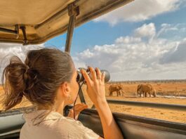 When is the Best Time to Visit Kenya?